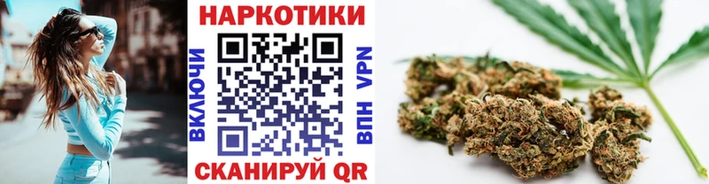 Где купить наркотики Шенкурск Каннабис Мефедрон