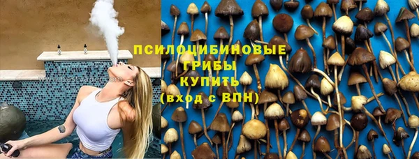 мяу мяу мука Абдулино
