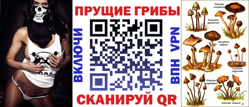 цена   Шенкурск  Псилоцибиновые грибы мицелий 